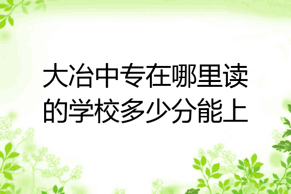 大冶中专在哪里读的学校多少分能上