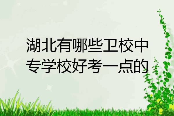 湖北有哪些卫校中专学校好考一点的