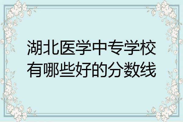 湖北医学中专学校有哪些好的分数线