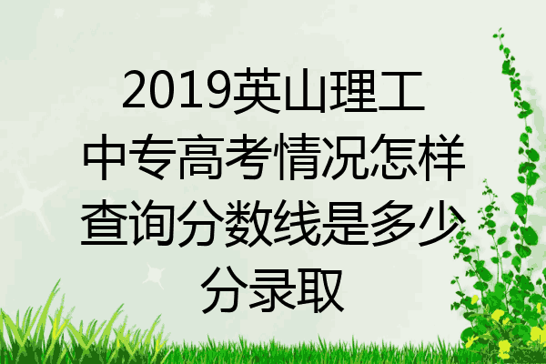 2019英山理工中专高考情况怎样查询分数线是多少分录取
