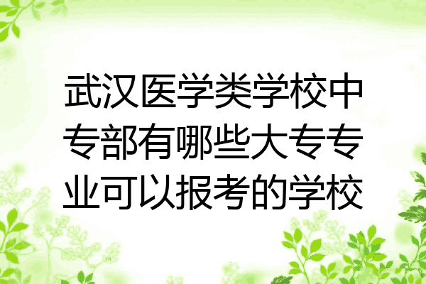 武汉医学类学校中专部有哪些大专专业可以报考的学校