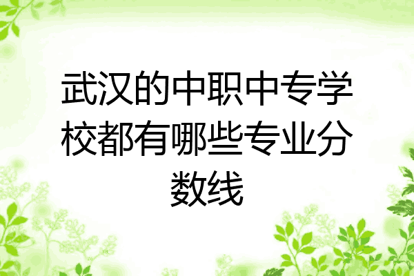 武汉的中职中专学校都有哪些专业分数线