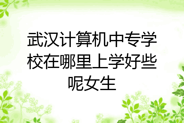 武汉计算机中专学校在哪里上学好些呢女生