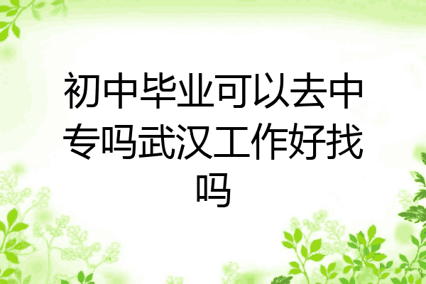 初中毕业可以去中专吗武汉工作好找吗