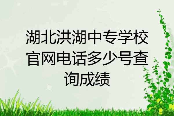 湖北洪湖中专学校官网电话多少号查询成绩