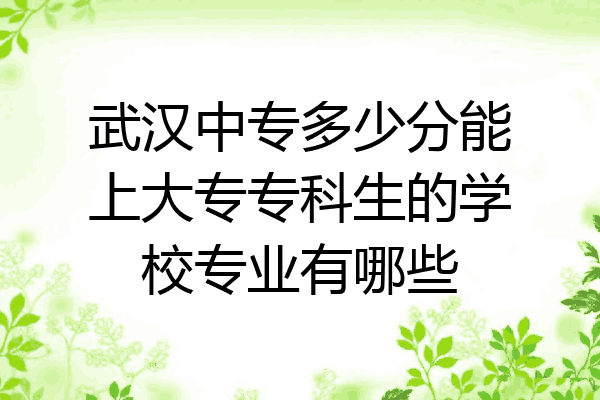 武汉中专多少分能上大专专科生的学校专业有哪些