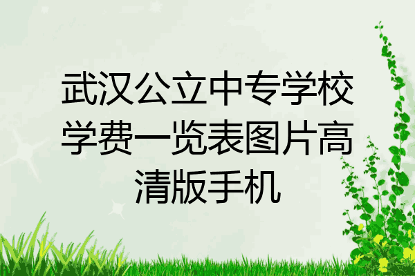 武汉公立中专学校学费一览表图片高清版手机