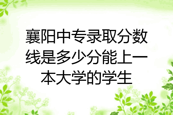 襄阳中专录取分数线是多少分能上一本大学的学生