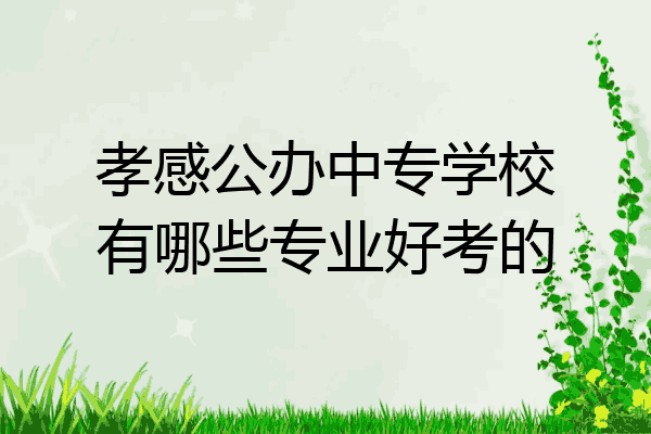 孝感公办中专学校有哪些专业好考的