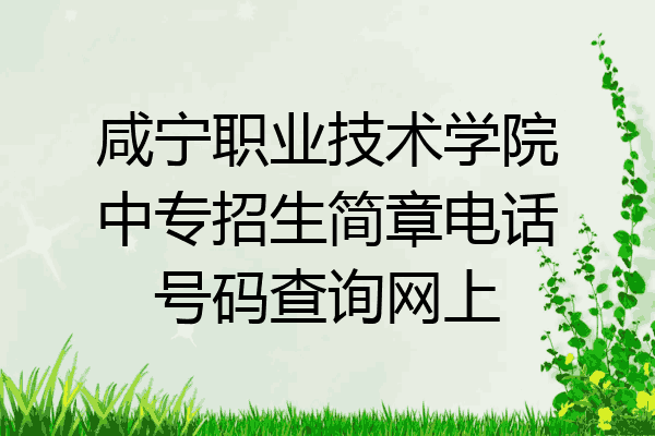 咸宁职业技术学院中专招生简章电话号码查询网上