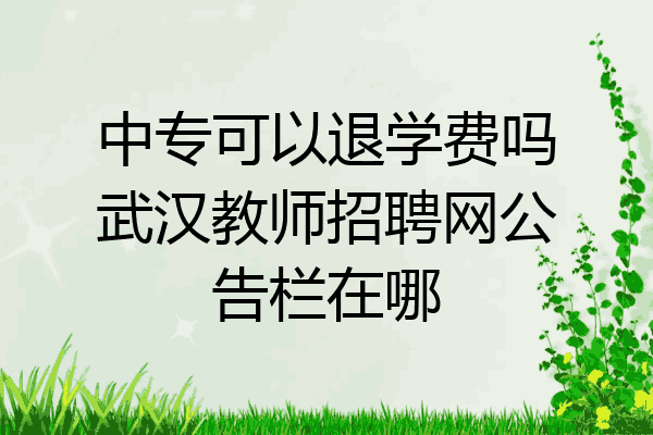 中专可以退学费吗武汉教师招聘网公告栏在哪