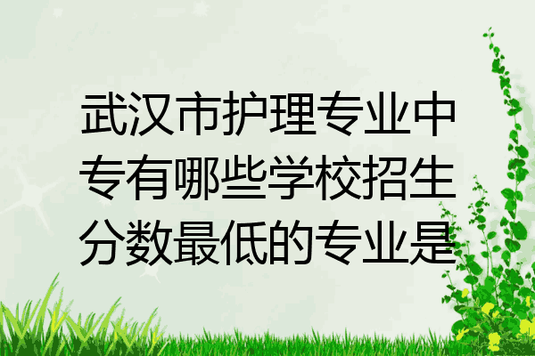 武汉市护理专业中专有哪些学校招生分数最低的专业是