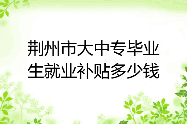 荆州市大中专毕业生就业补贴多少钱