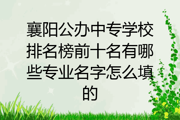 襄阳公办中专学校排名榜前十名有哪些专业名字怎么填的