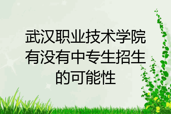 武汉职业技术学院有没有中专生招生的可能性
