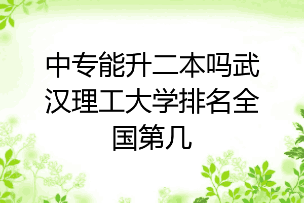 中专能升二本吗武汉理工大学排名全国第几