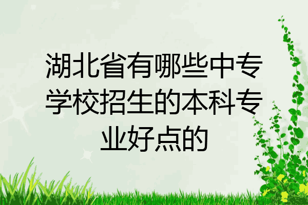 湖北省有哪些中专学校招生的本科专业好点的