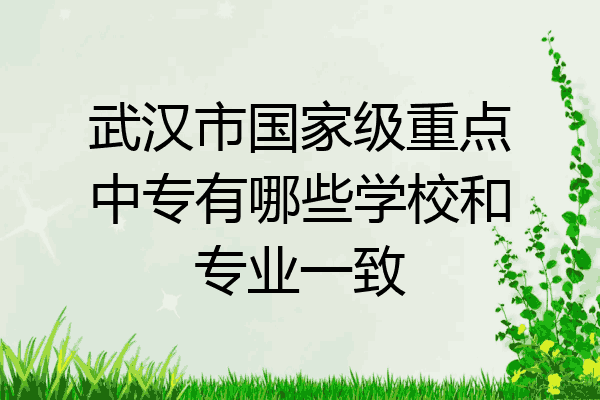 武汉市国家级重点中专有哪些学校和专业一致
