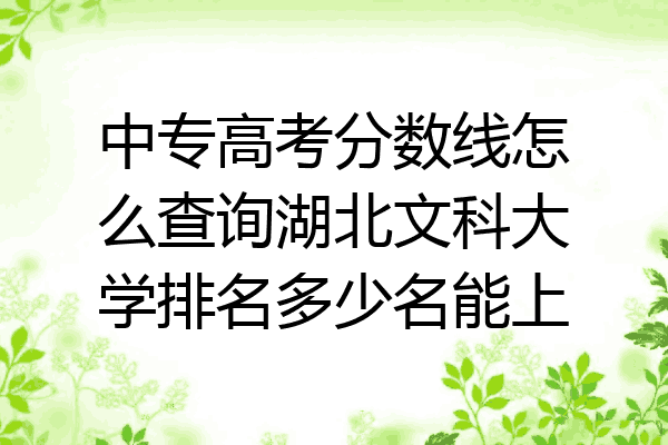 中专高考分数线怎么查询湖北文科大学排名多少名能上