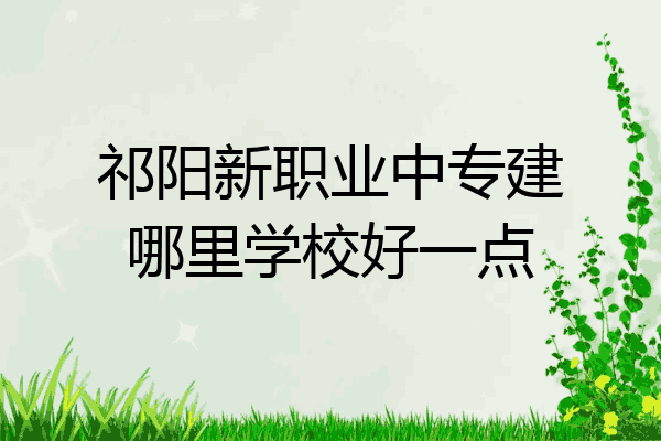 祁阳新职业中专建哪里学校好一点