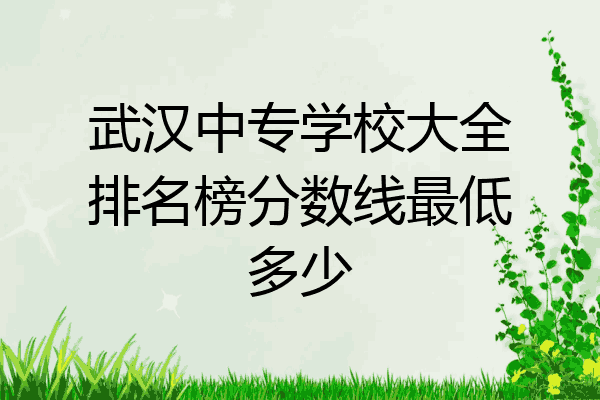 武汉中专学校大全排名榜分数线最低多少