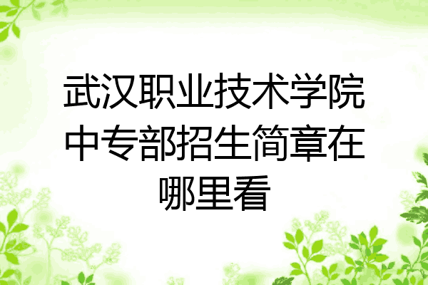武汉职业技术学院中专部招生简章在哪里看