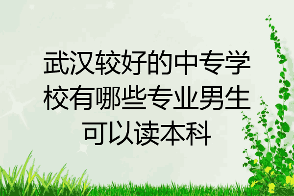武汉较好的中专学校有哪些专业男生可以读本科