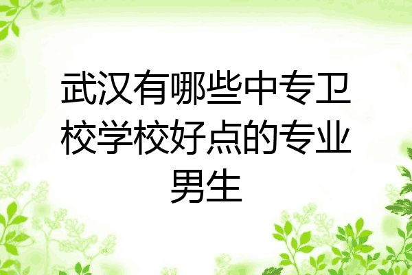 武汉有哪些中专卫校学校好点的专业男生