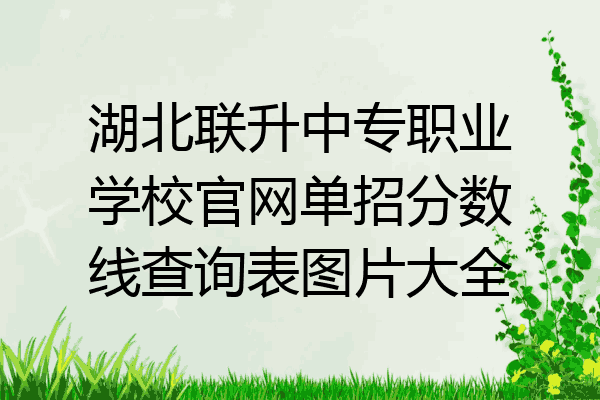 湖北联升中专职业学校官网单招分数线查询表图片大全