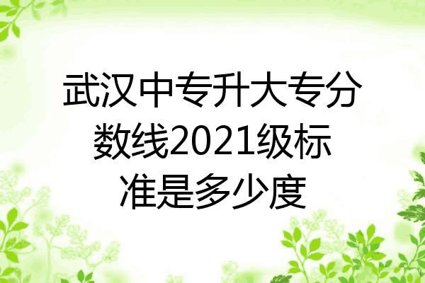 武汉中专升大专分数线2021级标准是多少度