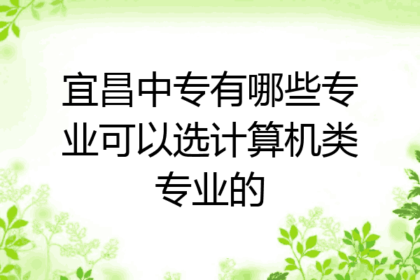 宜昌中专有哪些专业可以选计算机类专业的