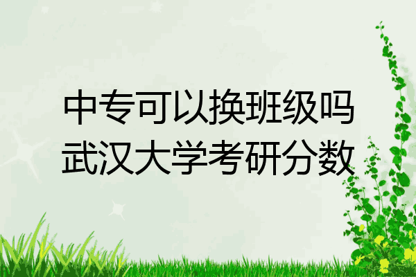 中专可以换班级吗武汉大学考研分数