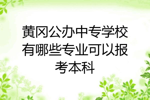 黄冈公办中专学校有哪些专业可以报考本科