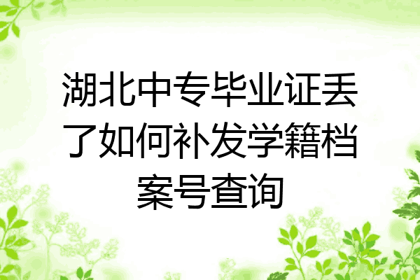 湖北中专毕业证丢了如何补发学籍档案号查询