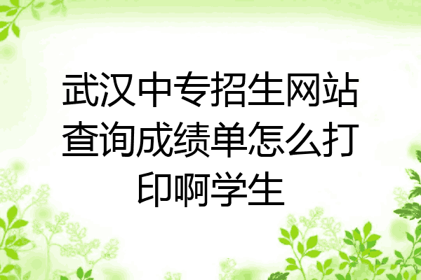 武汉中专招生网站查询成绩单怎么打印啊学生