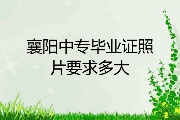 襄阳中专毕业证照片要求多大