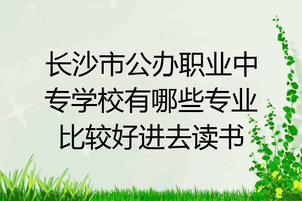 长沙市公办职业中专学校有哪些专业比较好进去读书
