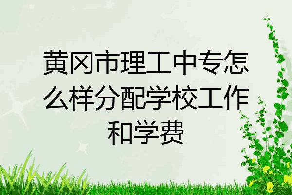 黄冈市理工中专怎么样分配学校工作和学费