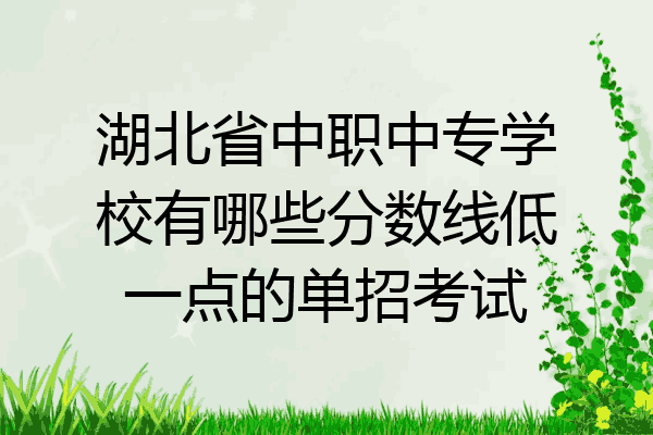 湖北省中职中专学校有哪些分数线低一点的单招考试