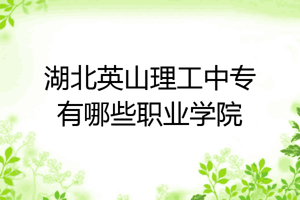 湖北英山理工中专有哪些职业学院