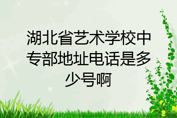 湖北省艺术学校中专部地址电话是多少号啊