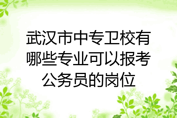 武汉市中专卫校有哪些专业可以报考公务员的岗位