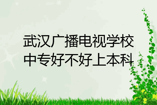 武汉广播电视学校中专好不好上本科