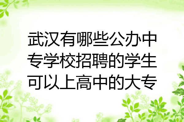 武汉有哪些公办中专学校招聘的学生可以上高中的大专