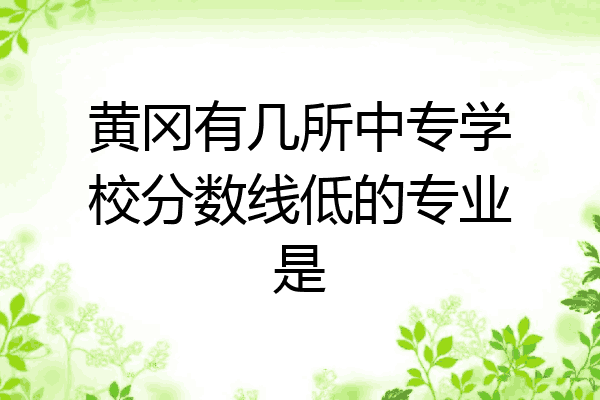 黄冈有几所中专学校分数线低的专业是