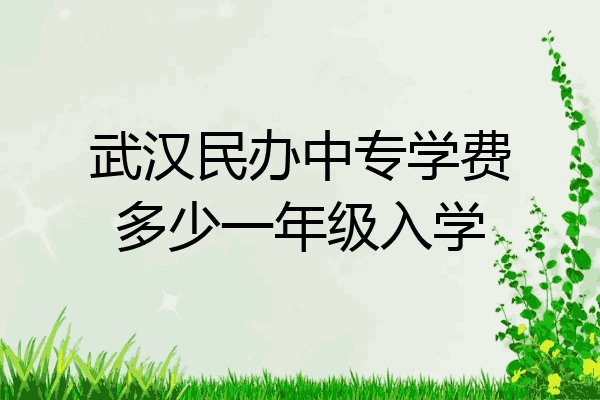 武汉民办中专学费多少一年级入学