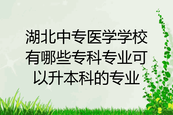 湖北中专医学学校有哪些专科专业可以升本科的专业