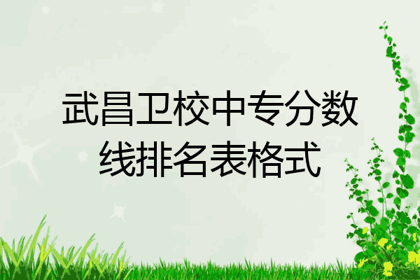 武昌卫校中专分数线排名表格式