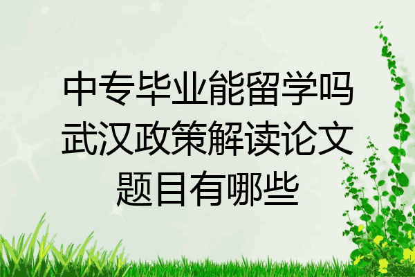 中专毕业能留学吗武汉政策解读论文题目有哪些