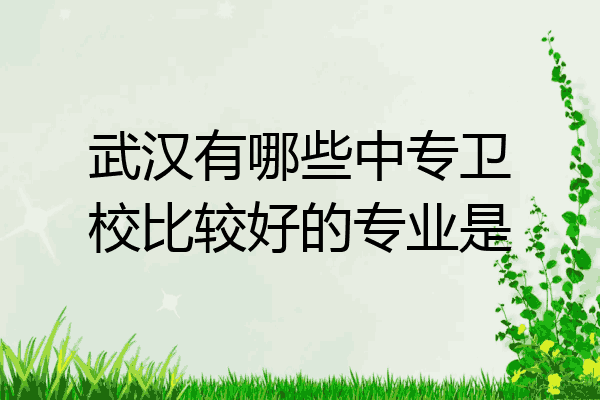 武汉有哪些中专卫校比较好的专业是